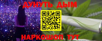 скорость Дубна
